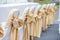 Wedding chairs in row decorated golden color ribbon