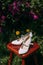 wedding composition of a pair of bride\\\'s shoes on a stool, in a garden with blooming lilacs