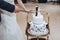 Wedding couple cutting together delicious wedding cake with blue flowers and figurines on top, bride and groom tied forever