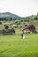 Wedding couple on a green field