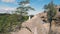 Wedding couple in mountain rock from drone. Aerial view Happy newlyweds in love hugging standing on top of the mountain.