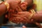 Wedding Couple Nice Hands, Amazing hindu wedding ceremony. Details of traditional indian wedding.