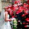 Wedding.couple with shower of rose petals