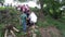 Wedding couple walking downhill to the reception venue