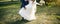 Wedding couple walking in the green park. Curvy bride in white lace dress and groom are holding hands. Overweight happy people.