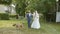 Wedding couple walking with nice dog on green grass and then kiss one another