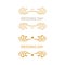 Wedding Day Gold Luxury Ornaments on White