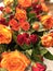 Wedding decor: orange and red roses, table decoration newlyweds, Presidium