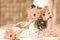 Wedding Decor of ribbons and gerbera flowers the color of the year 2024 peach fuzz, close-up.Pantone 2024