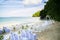 Wedding decorated detail on beach