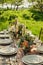 wedding decorated table, decor wedding dinner in nature in the garden