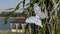 The wedding decoration with white butterfly