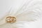 Wedding delicate background with rings and feather. Tenderness, tender love concept