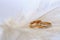 Wedding delicate background with rings and feather. Tenderness, tender love concept