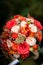 Wedding details - wedding colouful bouquet of a bride