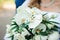 Wedding details - wedding colouful bouquet of a bride