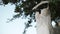 Wedding dress in a street of Positano