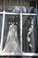 Wedding dresses displayed in window showcase