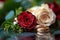 Wedding elegance red and white roses, gold rings, nature romance