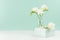 Wedding festive background with closed gift box, fragrance soft white flowers freesia in glass vase in green mint menthe interior.