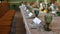 Wedding festive table with decor and flowers in the restaurant