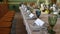 Wedding festive table with decor and flowers in the restaurant