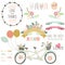 Wedding Flora Vintage Bicycles Elements