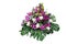 Wedding floral decoration with tropical foliage plants Monstera, fern, lady palm and exotic flowers purple orchids and Curcuma