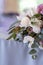 Wedding floristics for a classical wedding