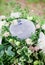 Wedding flowers decoration, outdoor, fine art.