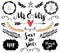 Wedding graphic set, arrows, hearts, laurel, wreaths, curls and