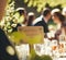 Wedding guests celebrating at a beautiful outdoor venue on a sunny day, luxury wedding decoration idea and decor