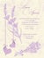 Wedding invitation card. Lavender background.