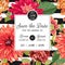 Wedding Invitation Layout Template with Red Asters Flowers. Save the Date Floral Card with Exotic Flowers for Party