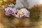 Wedding items, composition of festive paraphernalia for the wedding. Colorful scenery in nature, photo for memory.