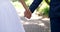 Wedding, marriage and couple holding hands in park for ceremony, commitment and celebration. Relationship, partnership