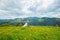 Wedding in mountains, A COUPLE IN LOVE, MOUNTAINS background, STANDING surounded dandelions, AMONG THE LAWN WITH THE GREEN GRASS,