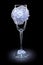 Wedding ornated empty wineglass on black