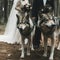 Wedding pair with wolf in autumn forest. Fairytale. Generative ai