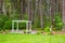 Wedding Pergola and Trees