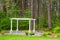 Wedding Pergola and Trees