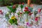 Wedding reception photo. Glasses and flowers on tables.