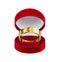 Wedding Ring Case Composition