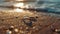 wedding rings gleaming on a sandy beach under radiant backlight, evoking the eternal bond between partners.