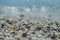 Wedding rings on the pebble sand on the beach