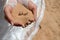 Wedding rings on the sand in the hands of the bride on the beach