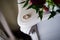 Wedding rings on white antique dresser