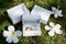 Wedding rings in the white box on the grass, shade of light, plumeria flowers, petals surround