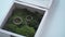 Wedding rings in a wooden box filled with moss on the green grass. Wedding. Wedding ring. Vintage engagement ring with a