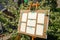 Wedding seating chart on the easel in the park.